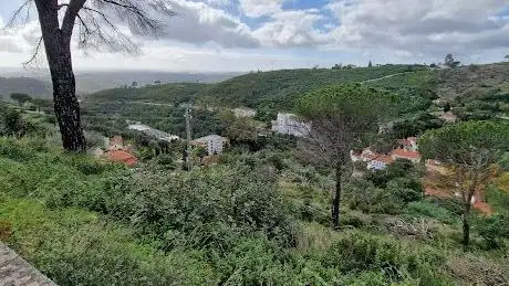 Photo de Miradouro Caldas de Monchique