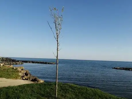 Photo de Dječje igralište Sveta Klara