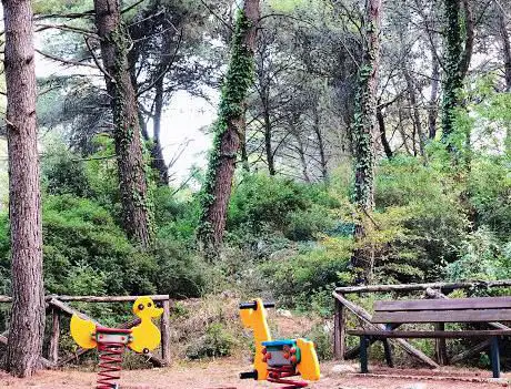 Photo de Pineta Ulmo