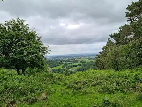 Photo de Earl's Hill Nature Reserve