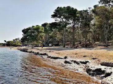 Photo de Plage de la Baume