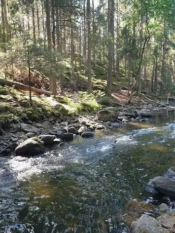 Photo de Gammelströmmen