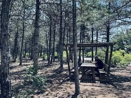 Photo de Eskişehir Urban Forest