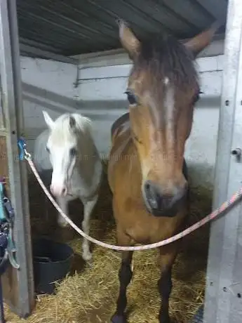 Photo de Kavalcade et compagnie