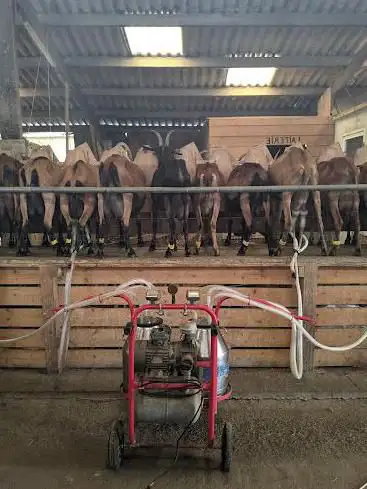 Photo de La Chèvre Rit - Ferme Pédagogique / Fromage