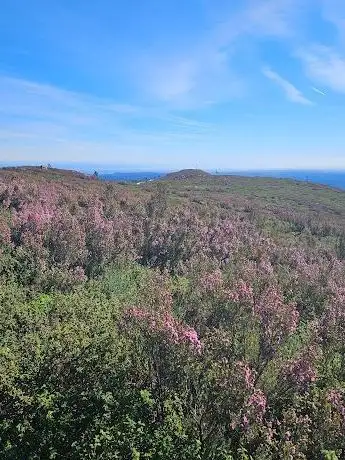 Photo de Alto da Foia Algarve