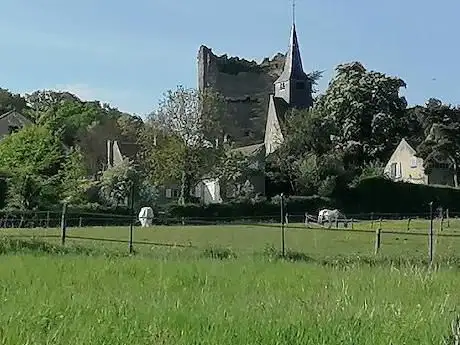 Photo de Bois de Maurepas