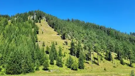 Photo de Schwarzau im Gebirge túraút