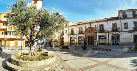Photo de Plaza del Olivo