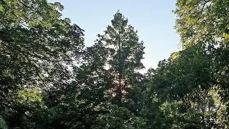 Photo de Gerda-Lerner Park