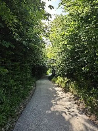 Photo de Holztrog-Brunnen