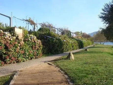 Photo de Passeio Ribeirinho - Ecovias