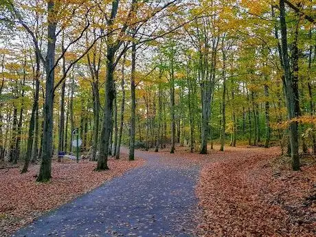 Photo de Påskbergsskogen