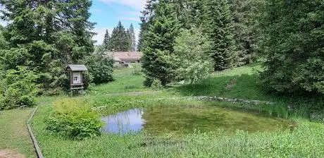 Photo de Giardino Botanico Alpino di Passo Coe