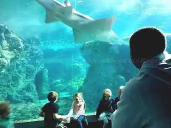 Photo de Oceanopolis