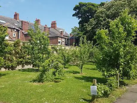 Photo de Jesmond Community Orchard