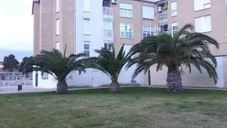 Photo de Three Palm park