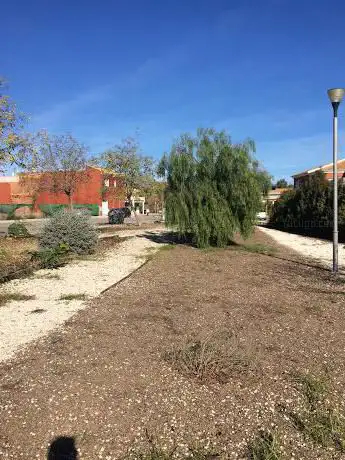 Photo de Plantas Park