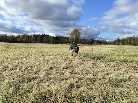 Photo de Savelgärdet