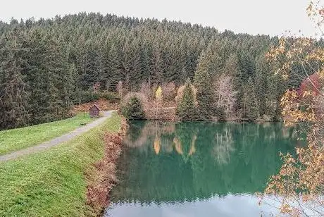 Photo de Schalker Teich