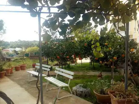 Photo de Istituto S.Orsola
