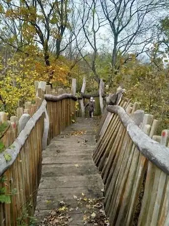 Photo de Baumwipfelpfad