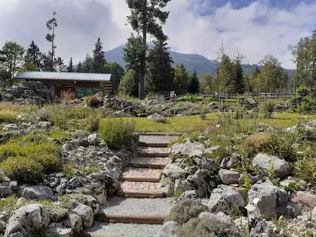 Photo de Giardino Botanico Alpino Viote
