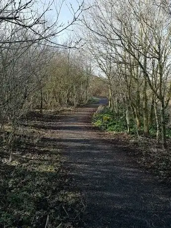 Photo de Terryland Forest Park
