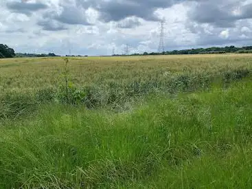 Photo de Horton Country Park