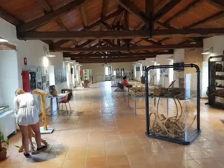Photo de Musée du liège de Calangianus