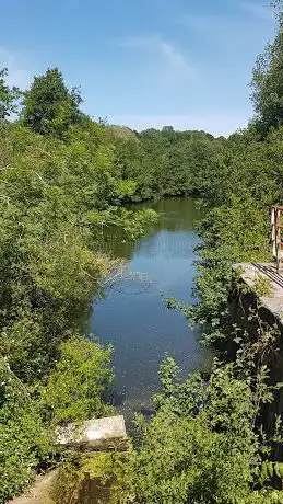 Photo de Réserve naturelle domaniale de Ronquières