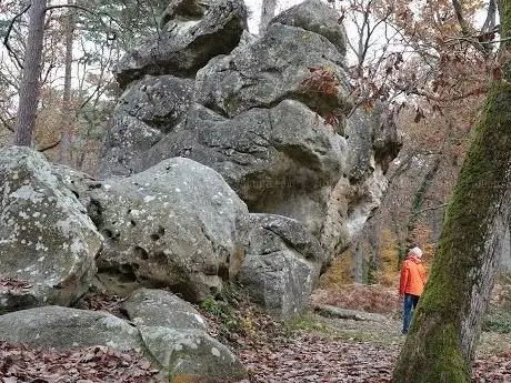 Photo of Office National des Forets