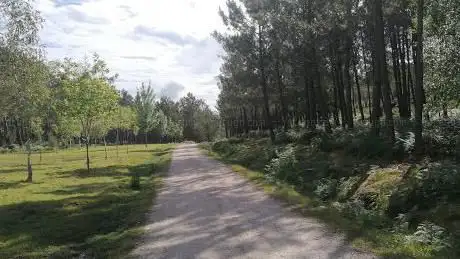 Photo de Forestal de Zamáns Park