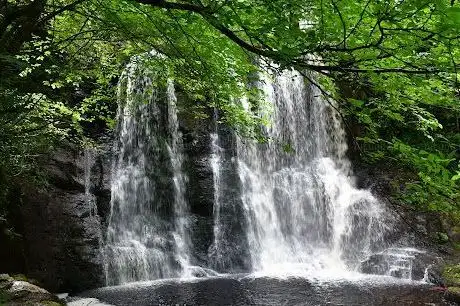 Glenariff Waterfalls & Forest Park
