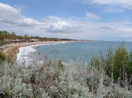 Photo de Camàde Ronda