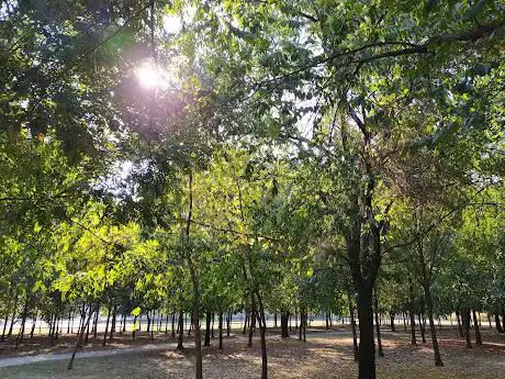 Photo de Parco Baden Powell
