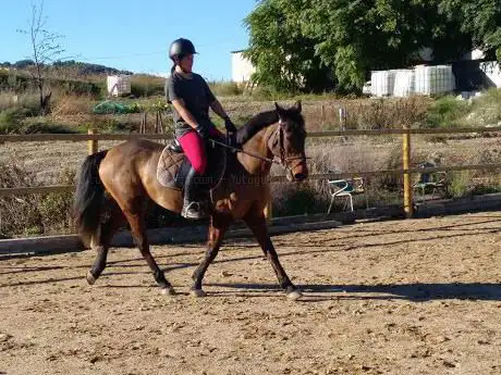 Photo de Centre d'equitació Excelsior