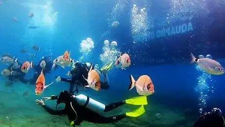 Photo de ScubaDO Dalış Okulu