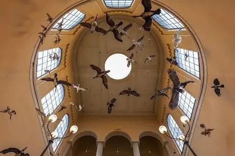 Photo de Bergen University Museum - Natural History