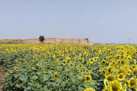 Photo de Cerro Macareno