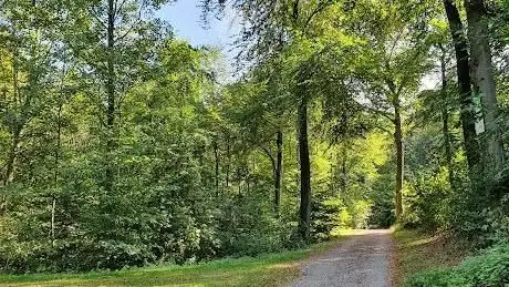 Photo de Hülsenhaine im Schellenberger Wald