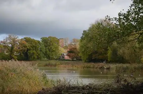 Photo de Abbey Fields