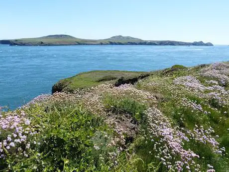 Photo de Ramsey Island RSPB Nature Reserve