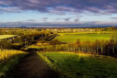 Photo de Rainton Meadows Nature Reserve