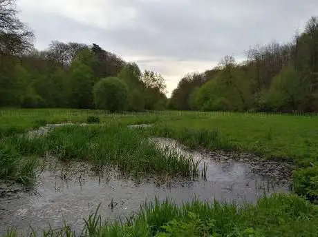 Photo de Koningsvijvers