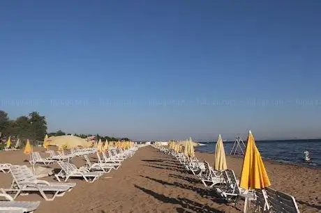 Photo de يالوا تيكم yalova tigem