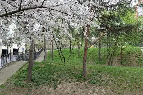 Photo de Jardin Marie-Thérèse Auffray