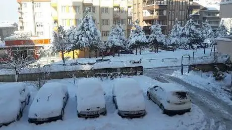 Photo de Erikli Dinlenme Parkı