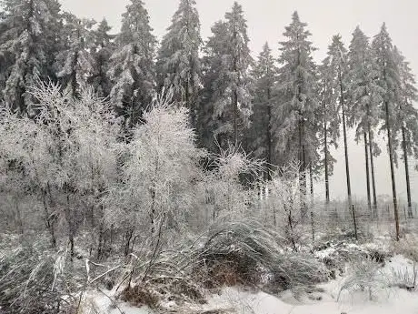 Photo of Promenade des Fagnes de la Vecquée