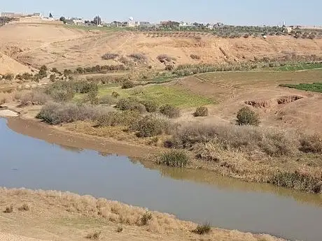 Photo de ملعب القصر